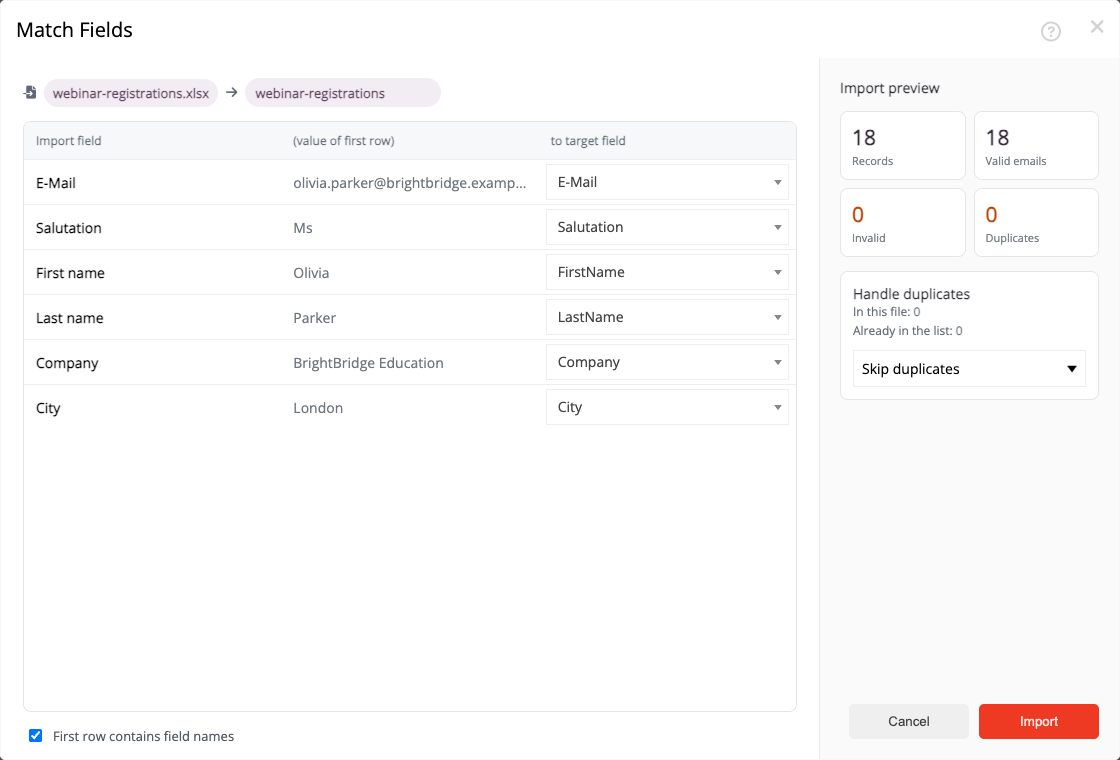 Excel import in mailfino with field mapping and a preview of realistic contact data